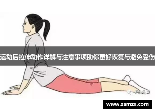 运动后拉伸动作详解与注意事项助你更好恢复与避免受伤
