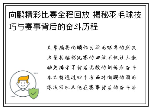 向鹏精彩比赛全程回放 揭秘羽毛球技巧与赛事背后的奋斗历程