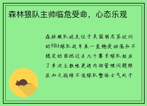 森林狼队主帅临危受命，心态乐观